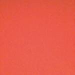 King945 Profile Picture