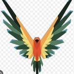 Nathemac Profile Picture